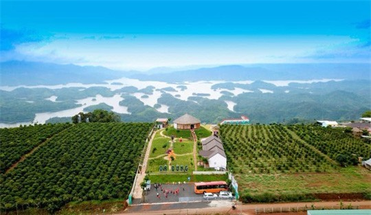 Photo: doanhnghiepvn.vn 5950 ta dung 3
