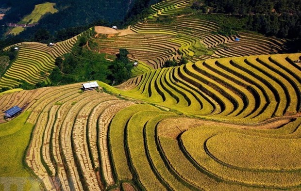 mu cang chai highlights vietnam beauty says cnbc