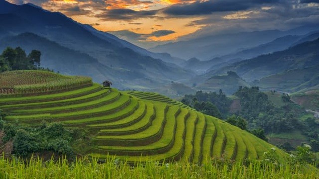 mu cang chai highlights vietnam beauty says cnbc