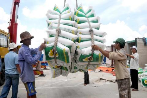 vietnam may surpass thailand in rice exports