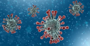 Harvard Medical: Q&A on coronavirus
