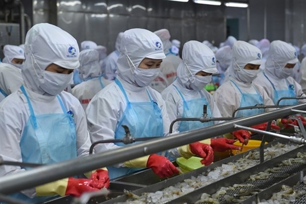 vietnams shrimp exports remain firm in the coronavirus pandemic