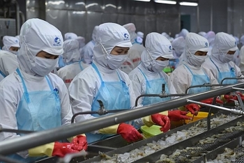 Vietnam's shrimp exports remain firm in the coronavirus pandemic