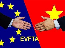 Proactive approach needed to take advantage of EVFTA