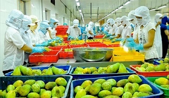 US as a highly potential market for Vietnamese vegetable and fruit exports