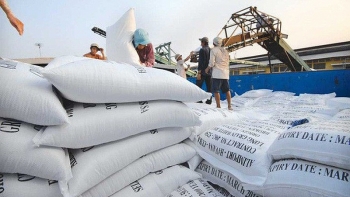 over 55000 tons of vietnam rice exports to korea offered 5 preferential tax