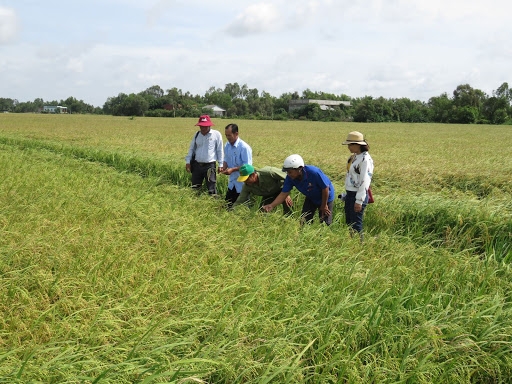 farmland prices in vietnam rise during covid 19