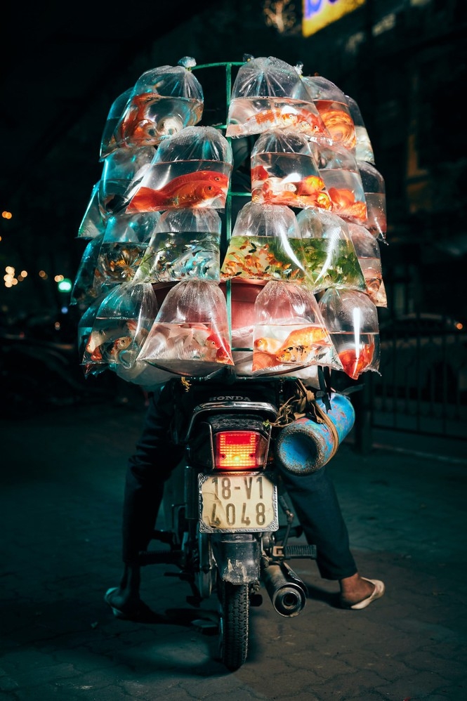 hanoi street fish seller photo won the prestigious smithsonian photography award