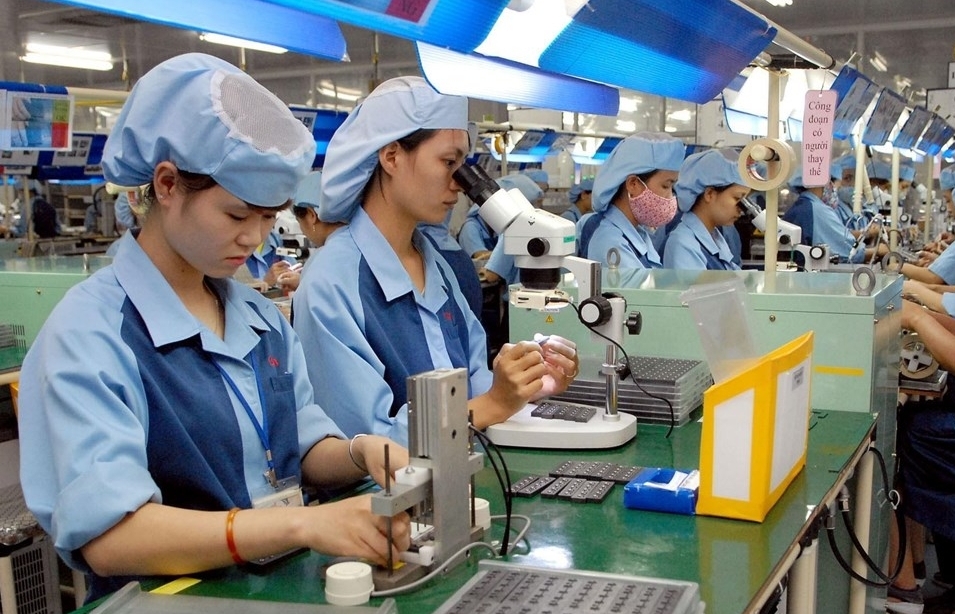 Vietnam small and medium enterprises get 50% tax cut proposed