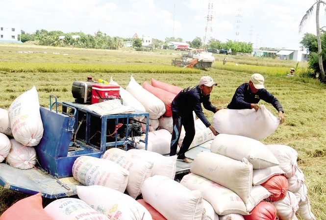 57 vietnamese businesses successfully registered to export over 65700 tons of rice