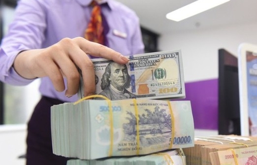 Vietnamese currency predicted to weaken this year