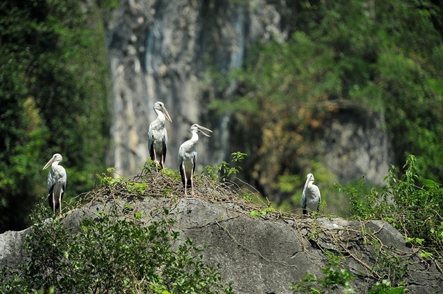 breathtaking and peaceful beauty of tam coc