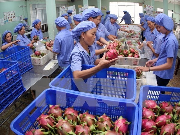 vietnam exports dropped sharply in may