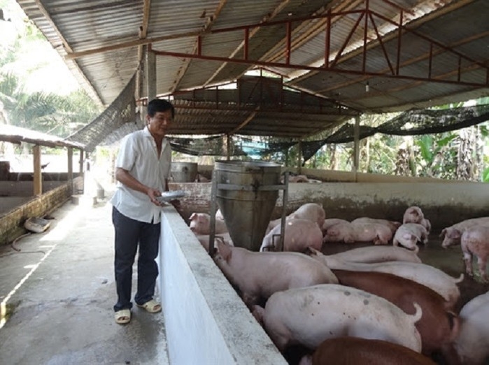 vietnam pork prices climbed high as supply refuses to rise