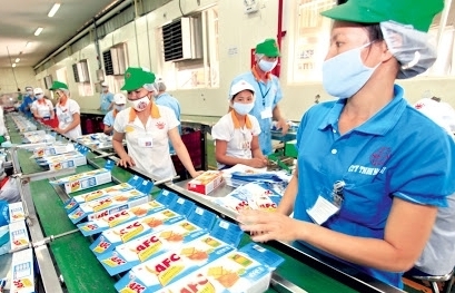 Vietnam's socio-economic performance in Jan-May period