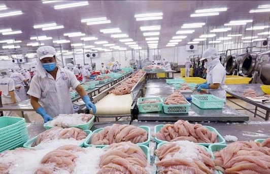 enterprise establishment in vietnam surges 36 in may