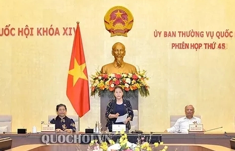 vietnam national assembly standing committees 45th session phase 2 to open on june 1