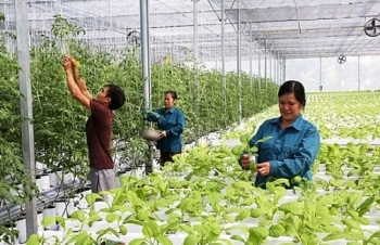 mekong delta in the process of agriculture transformation