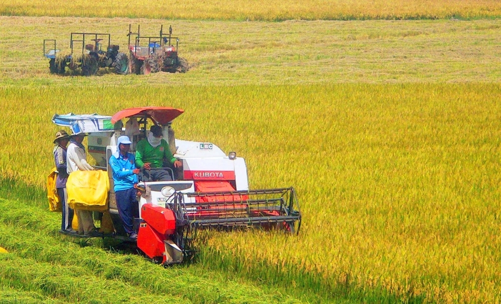 Rice Production Presents Great Opportunities For Circular Economy Development in Vietnam