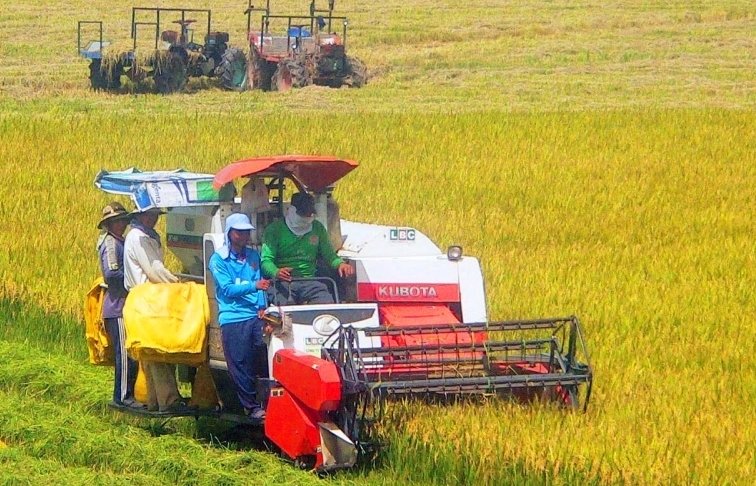 mekong delta in the process of agriculture transformation