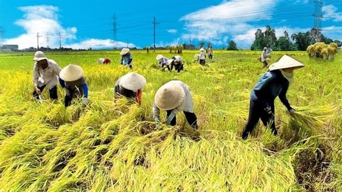 vietnam agriculture set to be in worlds top 15 by 2030