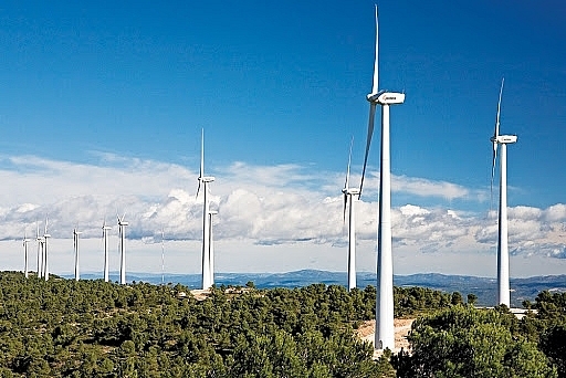 vietnams wind power sector to strongly develop