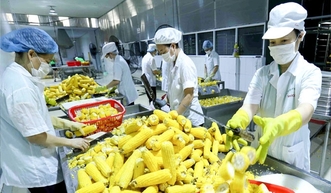 ministry of agriculture retains export target of over usd 41 billion in 2020