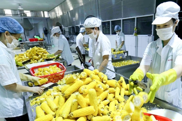 Ministry of Agriculture retains export target of over USD 41 billion in 2020