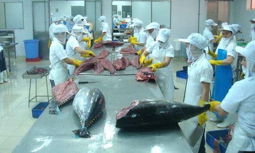 EU to exempt tax on 11,500 tonnes of Vietnamese tuna