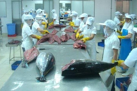 EU to exempt tax on 11,500 tonnes of Vietnamese tuna