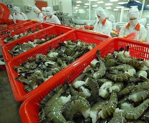 4108 shrimp exports canada
