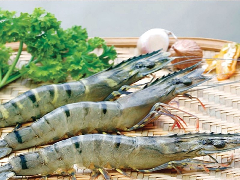 4520 vietnam shrimp export canada