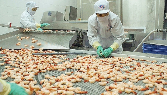 4616 vietnam shrimp exports