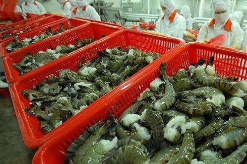 Vietnam's shrimp exports to Canada surge 32%