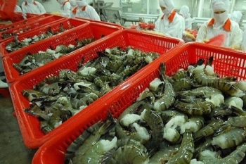 vietnams shrimp exports to canada surge 32