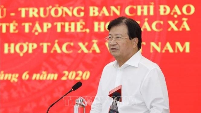 Deputy PM asks for measures to boost cooperatives' growth