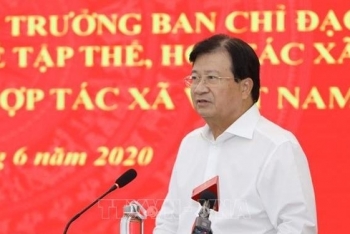 deputy pm asks for measures to boost cooperatives growth
