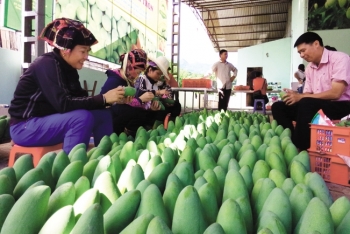 vietnamese goods stay attractive to cptpp market