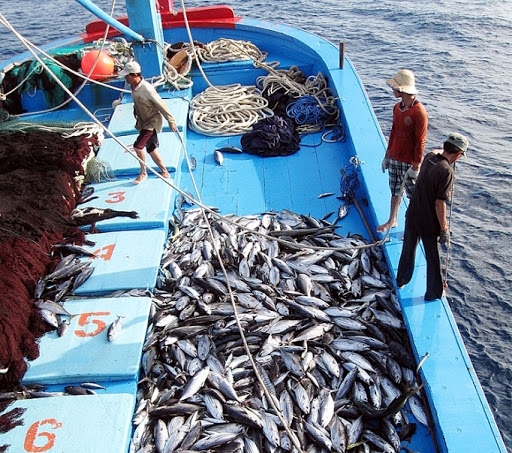 vietnam stressed the goal for eu to remove yellow card over illegal fishing