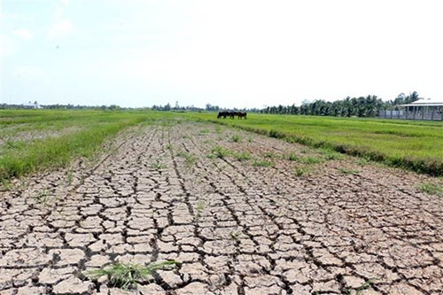 5642 finland mekong delta climate change