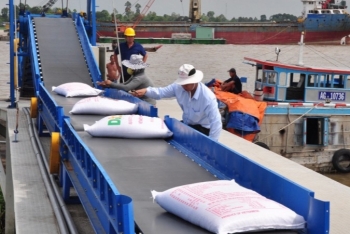 vietnams rice export in 6 months reached nearly 35 million tons up 18