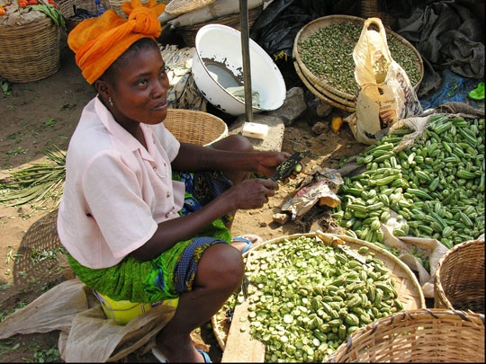 africa remains a potential market for vietnam despite covid 19