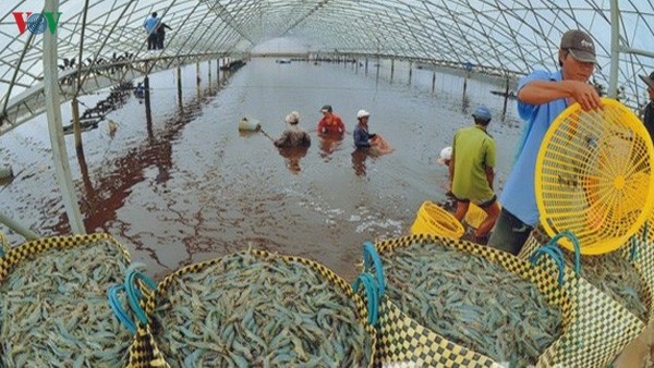 3021 shrimp exports vietnam 2020