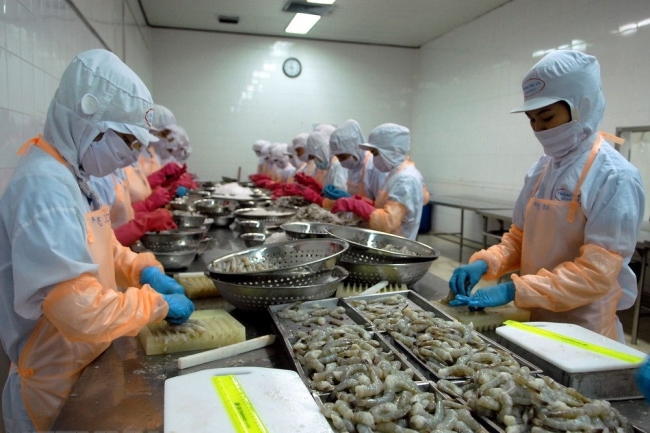 Vietnam's shrimp exports expect to surge this year