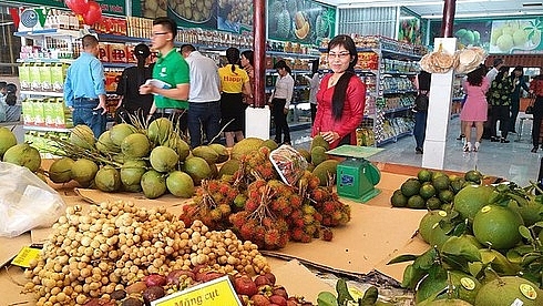 Vietnam's fruit and vegetables exports to Thailand surged 230%