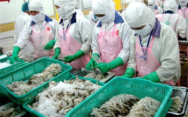 4812 shrimp exports first half