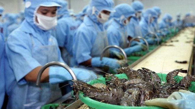 Vietnam's shrimp exports increased 5.7% in the first half of 2020