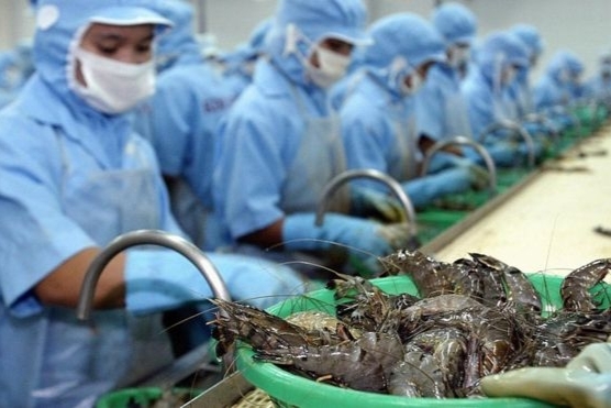 Vietnam's shrimp exports increased 5.7% in the first half of 2020