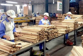 vietnamese wood exports recover during the first half of year