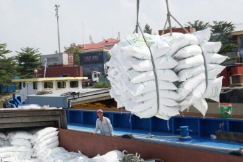 vietnam grabs position as second largest rice exporter from thailand